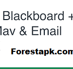 UTA Blackboard + MyMav & Email